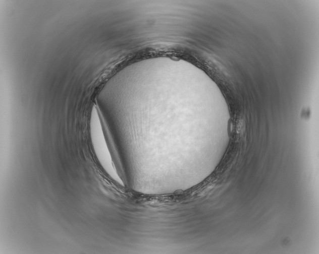 X0000093560868200711051035