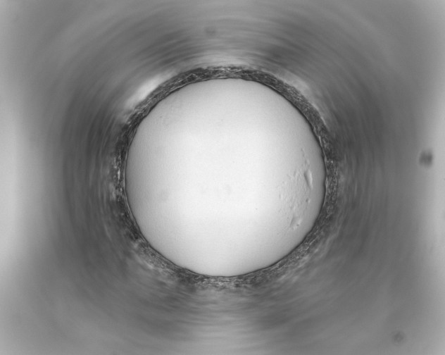 X0000093560871200711051035