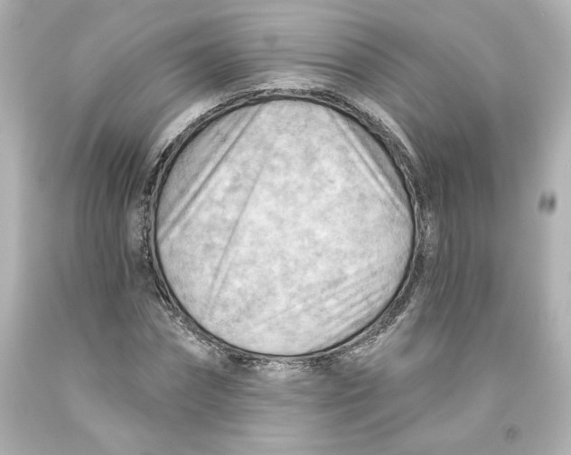 X0000093560874200711051035