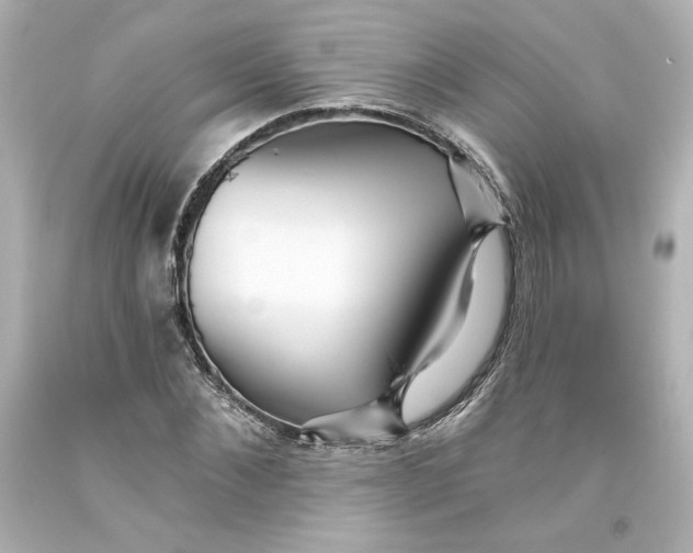 X0000093560876200711051035