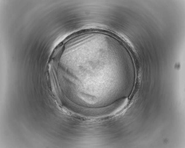 X0000093560877200711051035