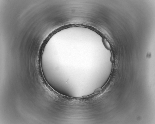 X0000093560880200711051035