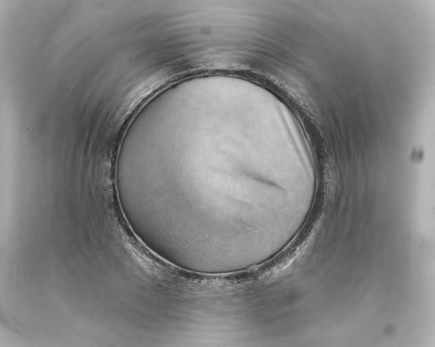 X0000093560881200711051035