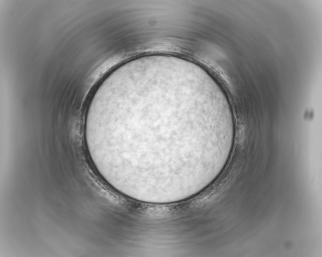 X0000093560882200711051035