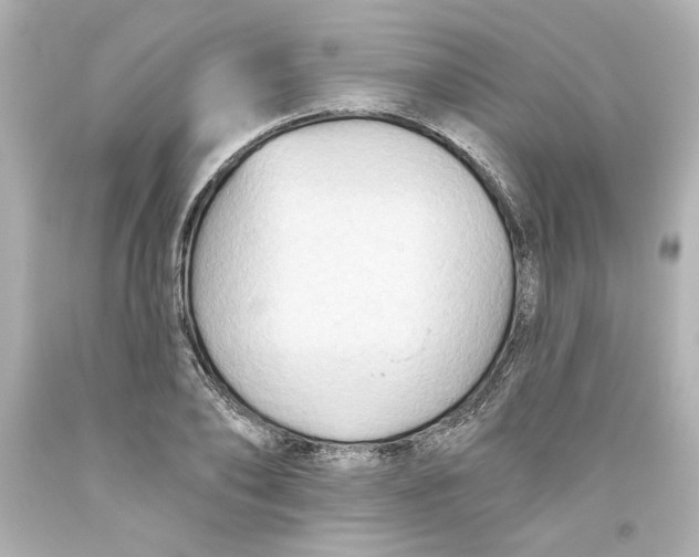 X0000093560886200711051035