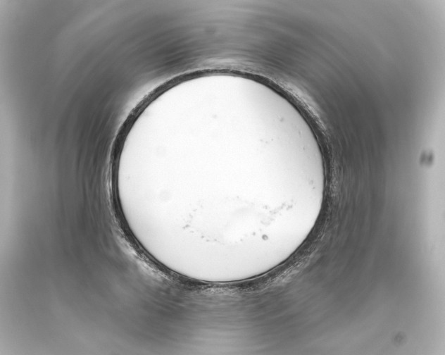 X0000093560888200711051035