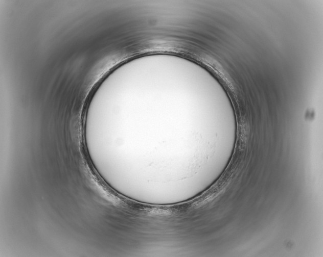 X0000093560890200711051035