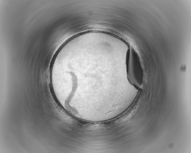 X0000093560891200711051035