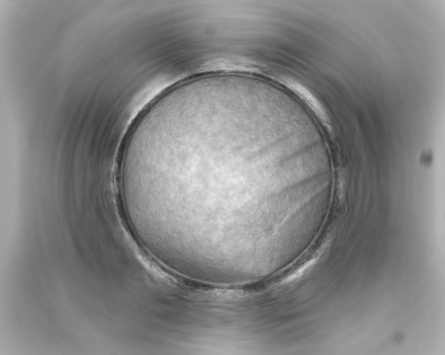 X0000093560893200711051035