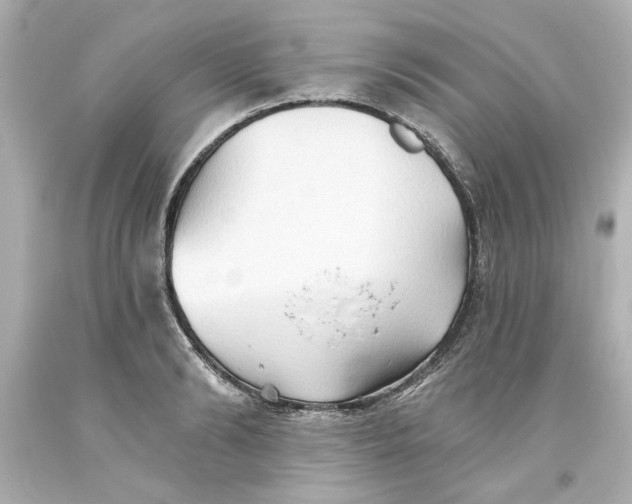 X0000093560894200711051035