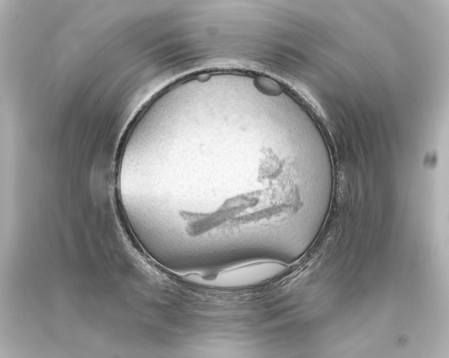 X0000093560895200711051035