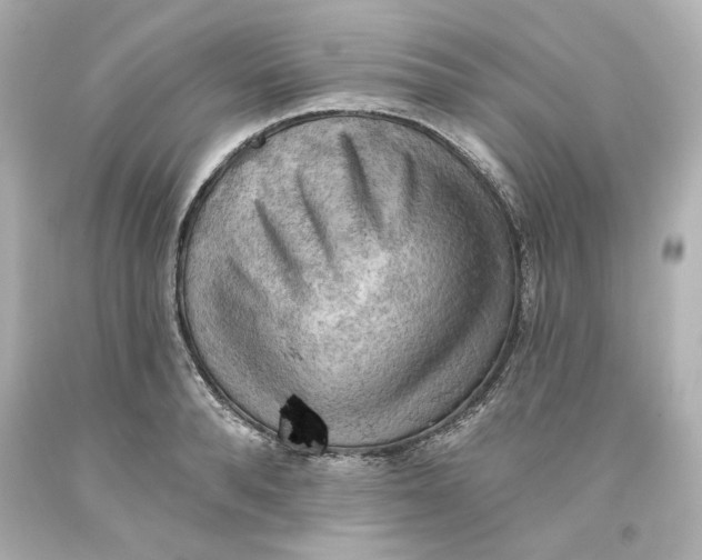 X0000093560896200711051035