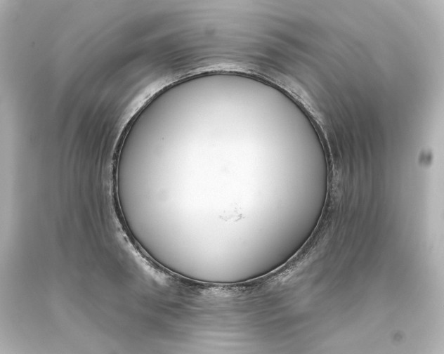 X0000093560898200711051035