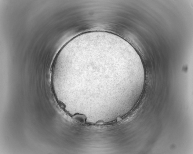 X0000093560900200711051035