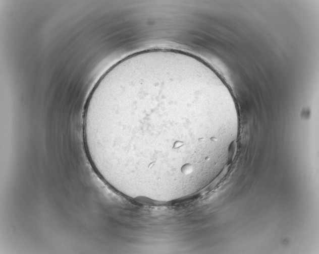 X0000093560903200711051035