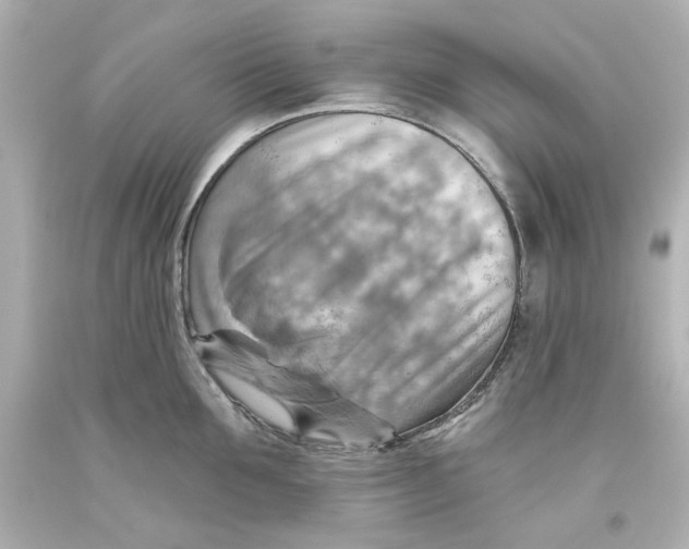 X0000093560907200711051035