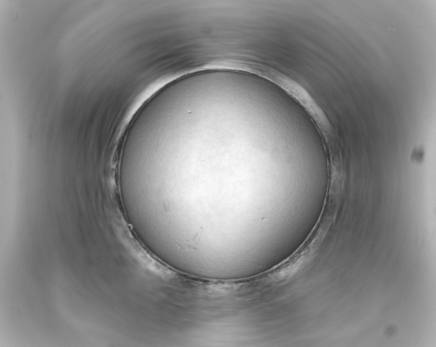 X0000093560908200711051035