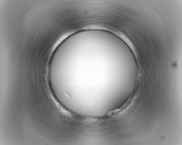 X0000093560909200711051035