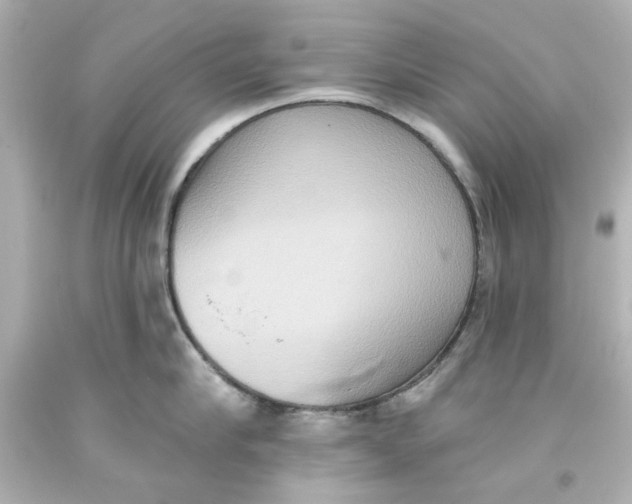 X0000093560910200711051035