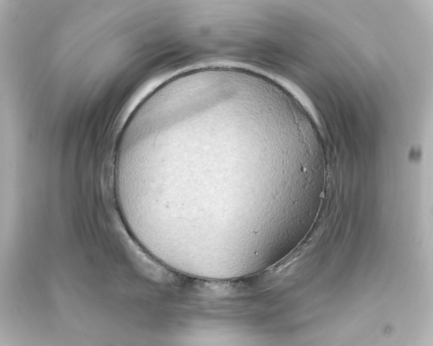 X0000093560911200711051035