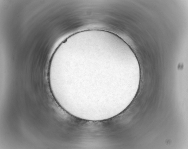 X0000093560912200711051035