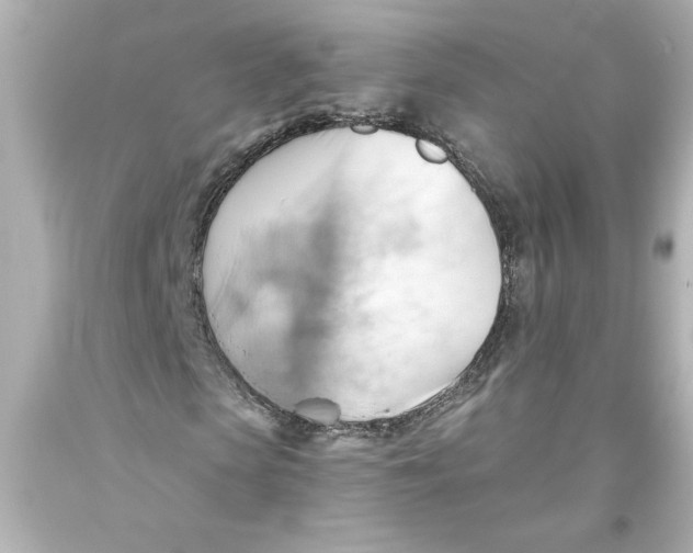 X0000093560913200711051034