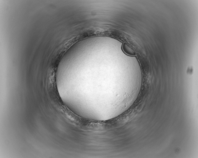 X0000093560914200711051034