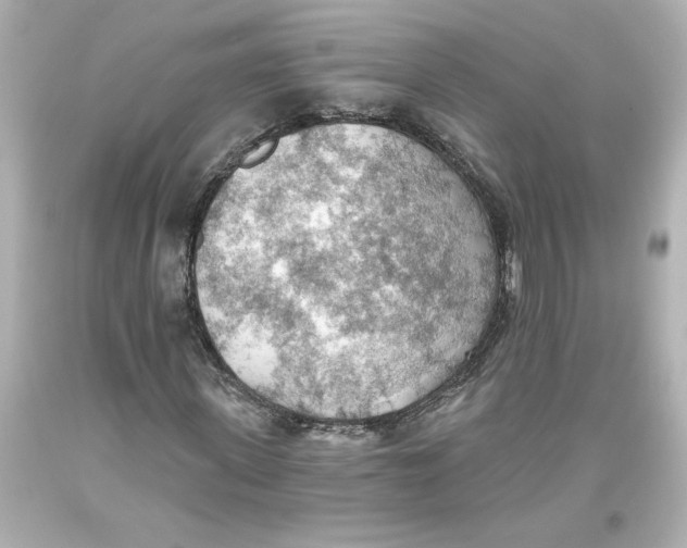 X0000093560915200711051034