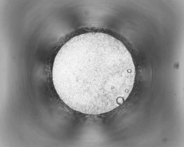 X0000093560918200711051034