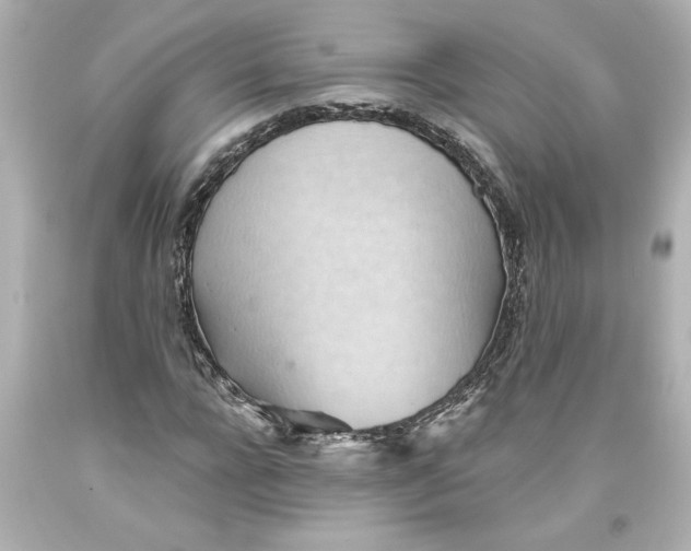 X0000093560920200711051034