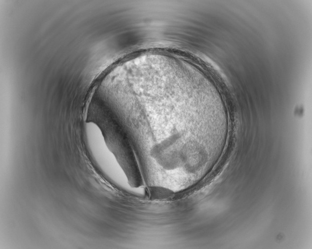 X0000093560921200711051034