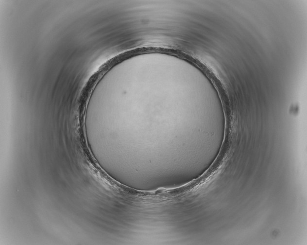 X0000093560923200711051034