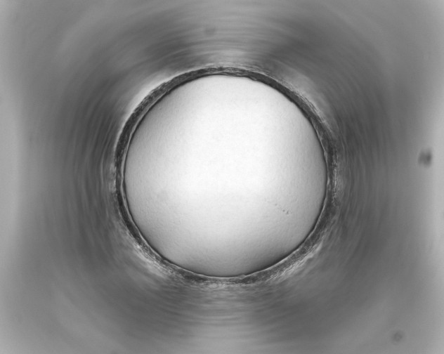 X0000093560924200711051034