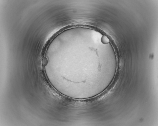 X0000093560925200711051034