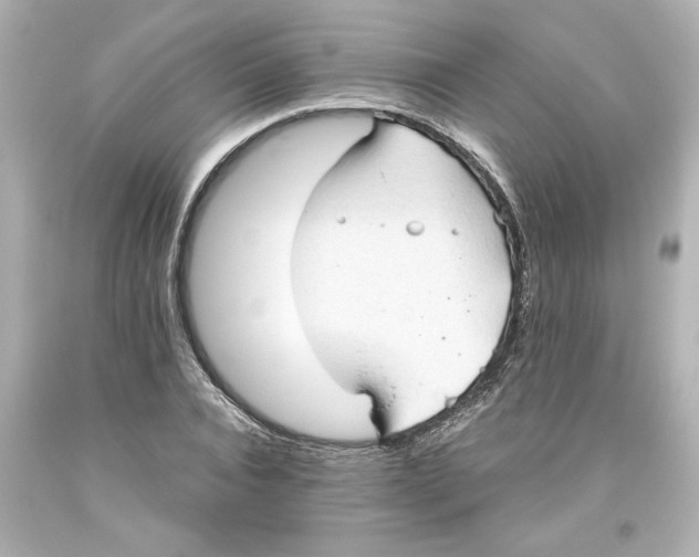 X0000093560928200711051034