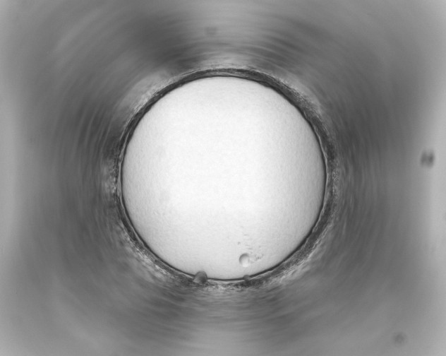 X0000093560929200711051034