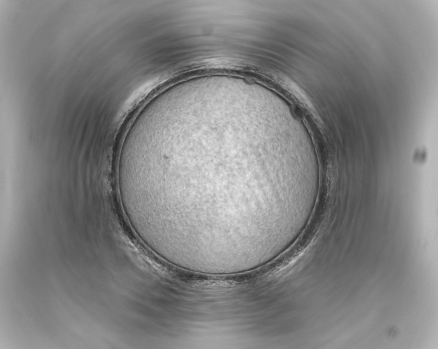 X0000093560930200711051034