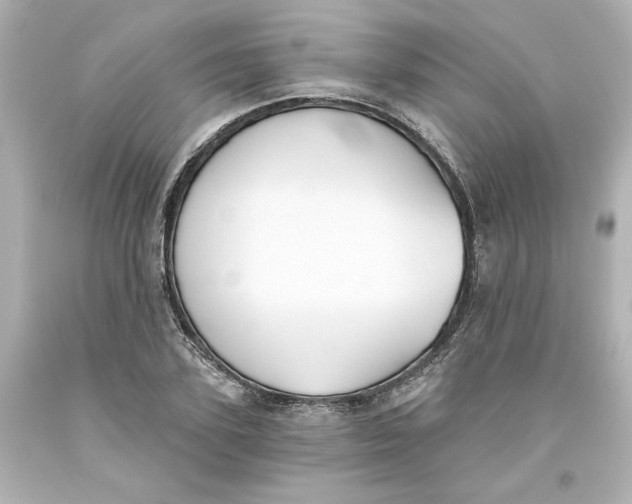 X0000093560931200711051034