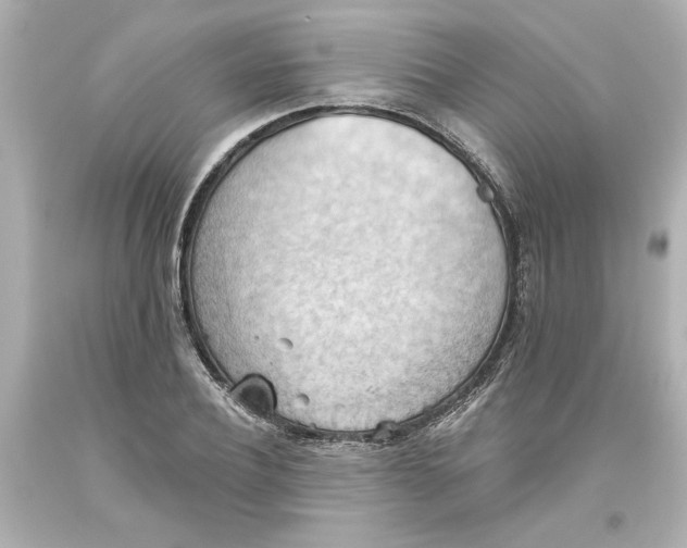 X0000093560932200711051034