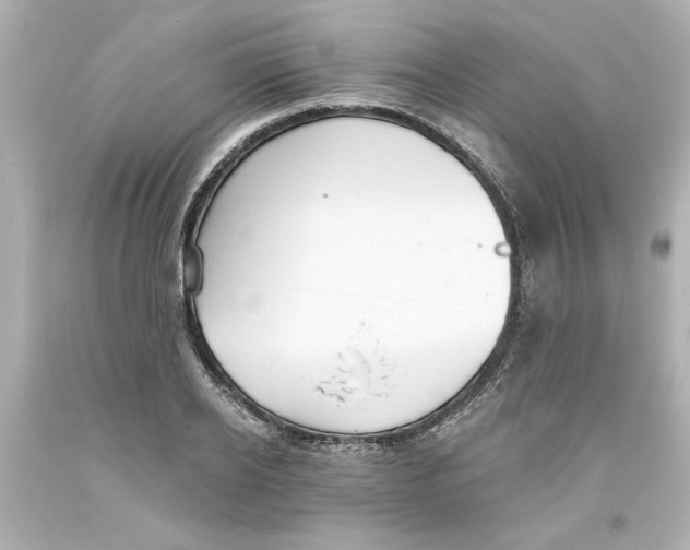 X0000093560934200711051034