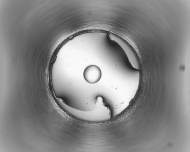 X0000093560936200711051034