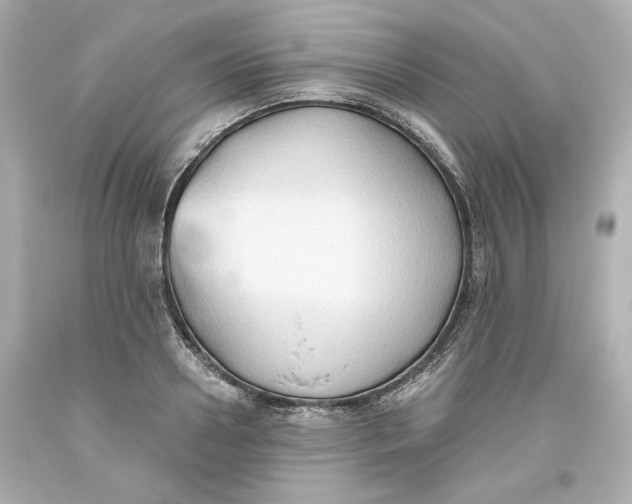 X0000093560938200711051034