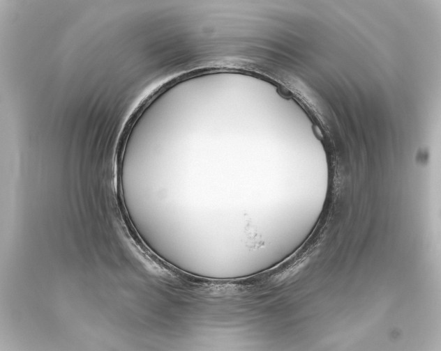 X0000093560940200711051034