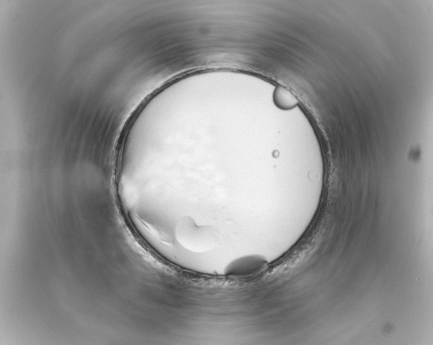 X0000093560941200711051034