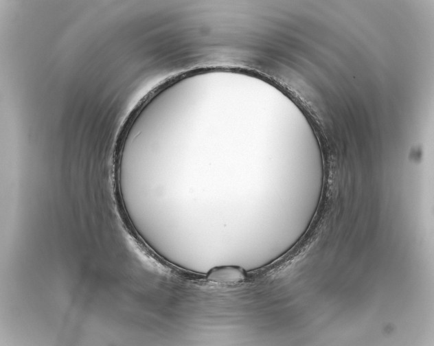 X0000093560942200711051034