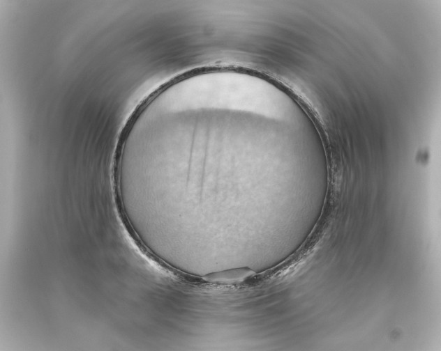 X0000093560943200711051035