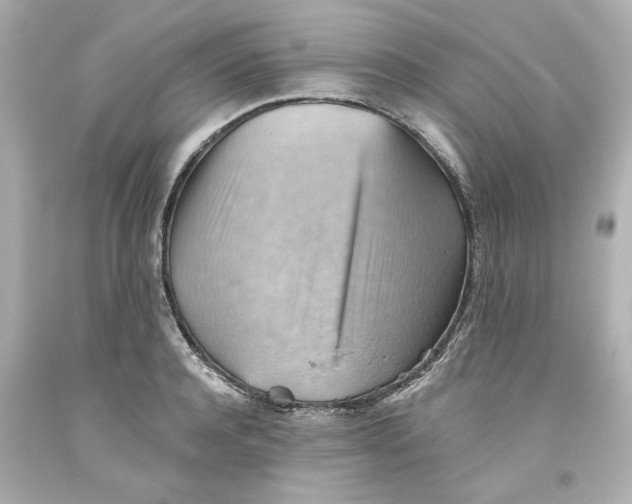 X0000093560944200711051035