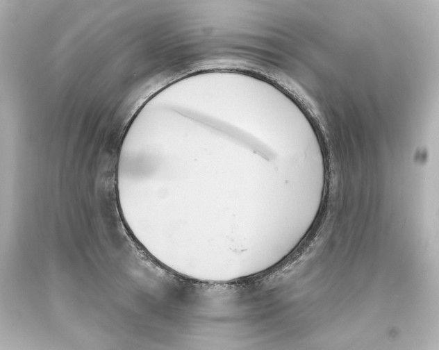 X0000093560945200711051035