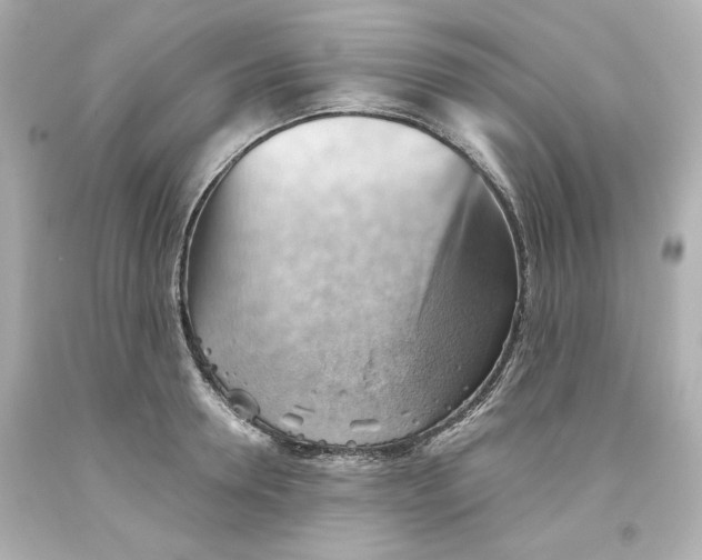 X0000093560946200711051035