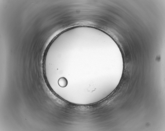 X0000093560947200711051035